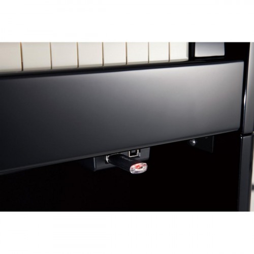 Цифровое пианино Roland DP-90Se PE