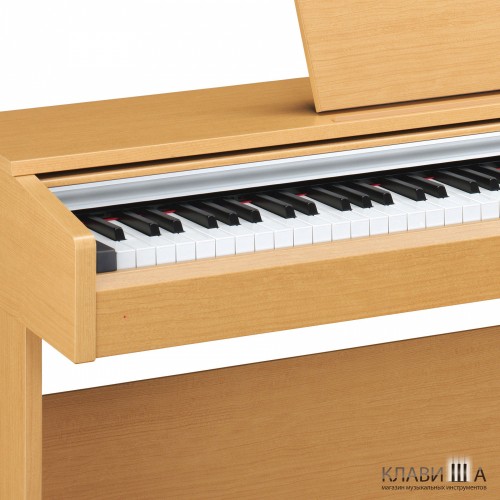 Цифровое пианино Yamaha Arius YDP-142C